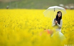 大尺寸的小黄说字多肉小学